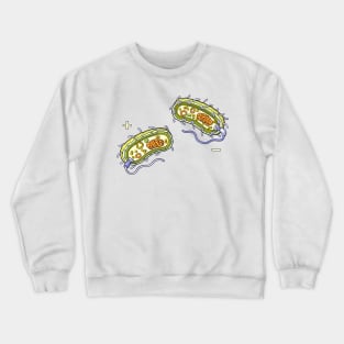 Bacteria - Internal Structure Gram Positive and Gram Negative Crewneck Sweatshirt